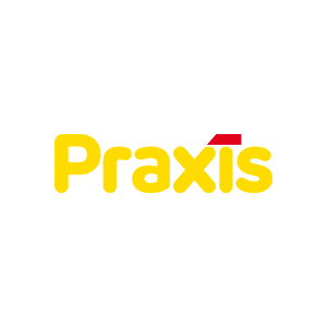 Praxis logo 