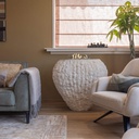 Shigo bio-ethanol designhaard