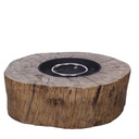 Tree outdoor fireplace