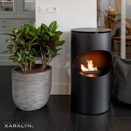 Silo portable bioethanol fireplace
