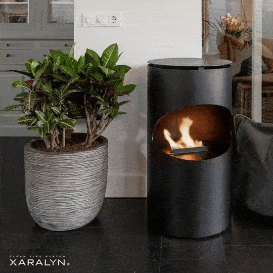 Silo portable bioethanol fireplace