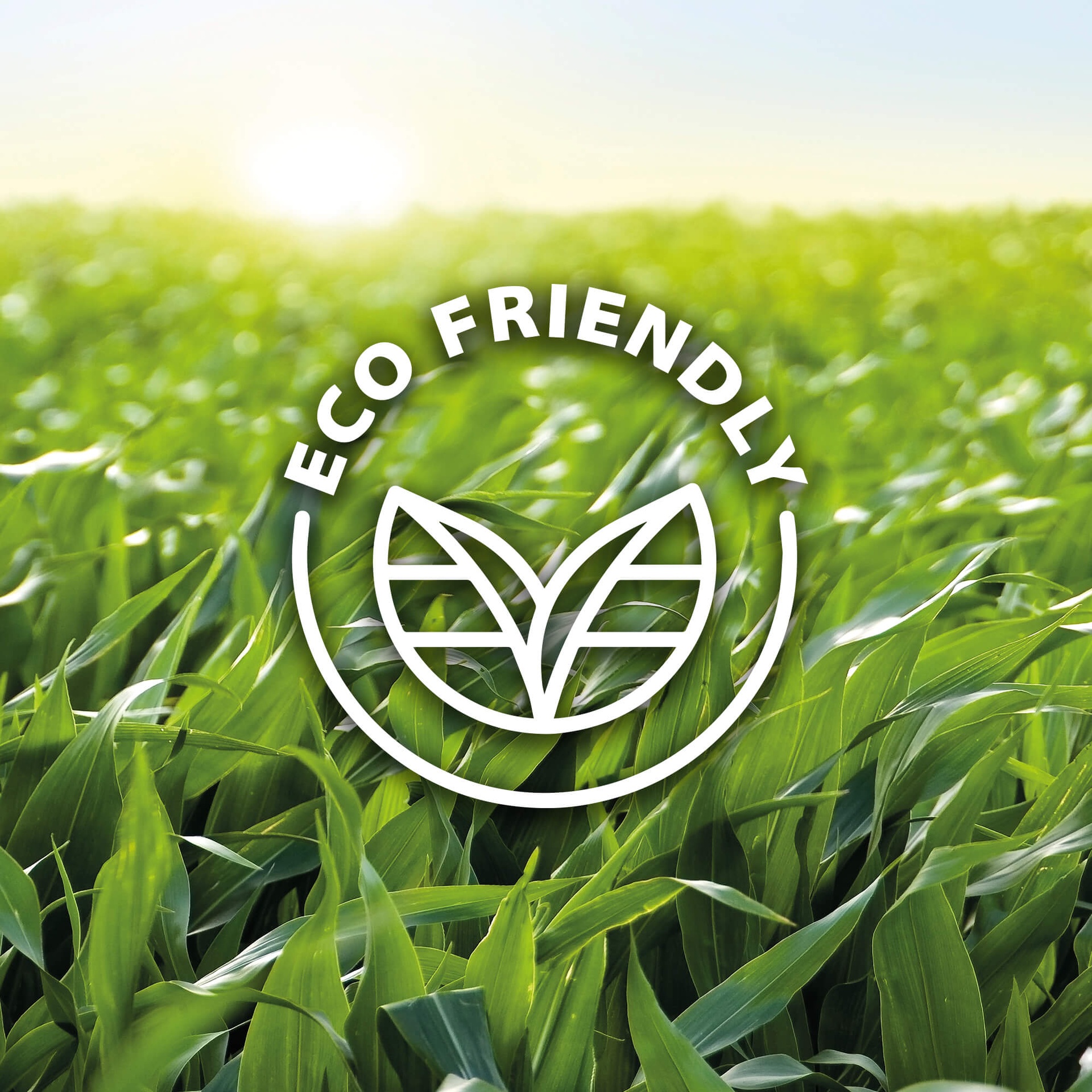 Bioethanol CL100 (6 x 1 Liter)